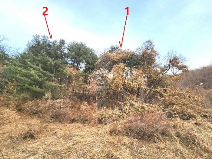 기호1,2 전경(남측에서 촬영)