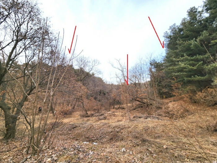 기호3 토지(남측에서 촬영)