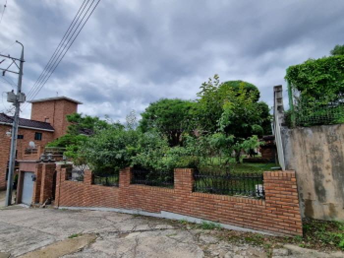 전면 전경(동쪽 방향) 및 제시외 수목