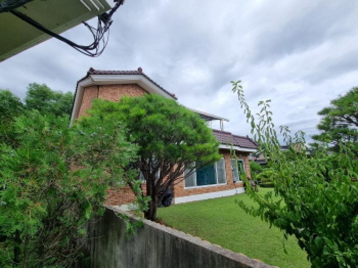 내부 마당 및 제시외 수목