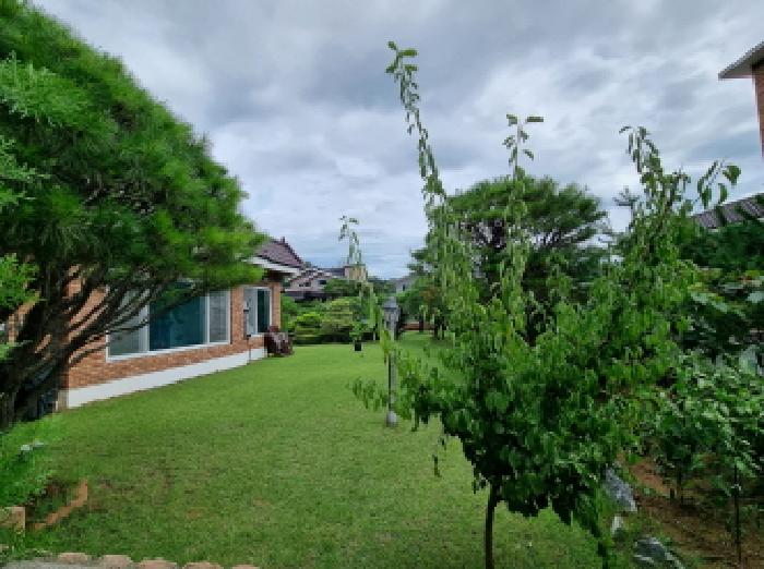 내부 마당 및 제시외 수목