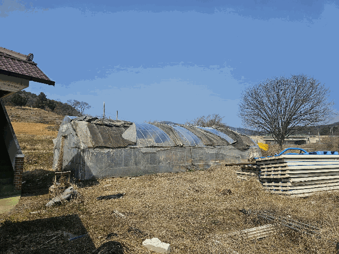 일련번호(3) 및 제시외비닐하우스㉡