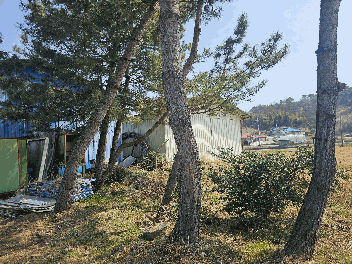 일련번호(10) 지상 제시외수목