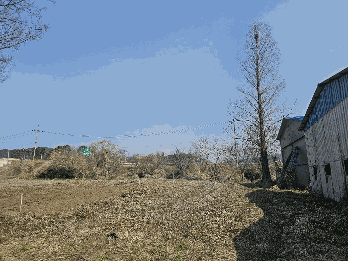 일련번호(1,2,7) 및 지상 제시외수목