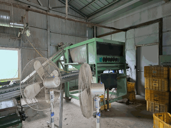 기계기구 일련번호(11,12)