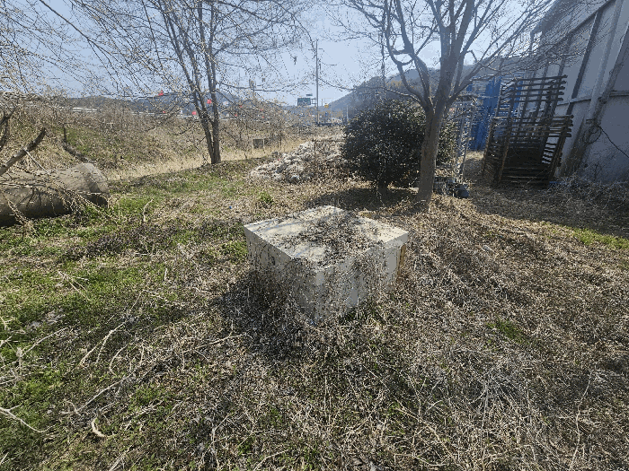 일련번호(2) 지상 제시외수목 및 제시외관정