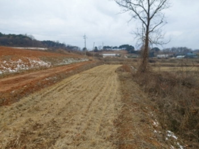 3.내지 5., 8.내지 10.목록 토지