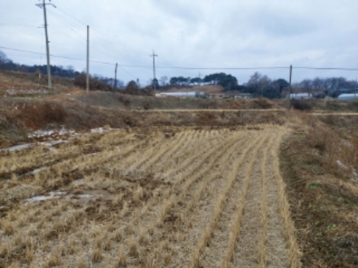 3.내지 5., 8.내지 10.목록 토지