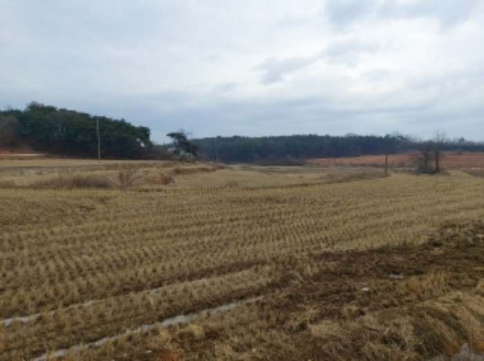 3.내지 5., 8.내지 10.목록 토지