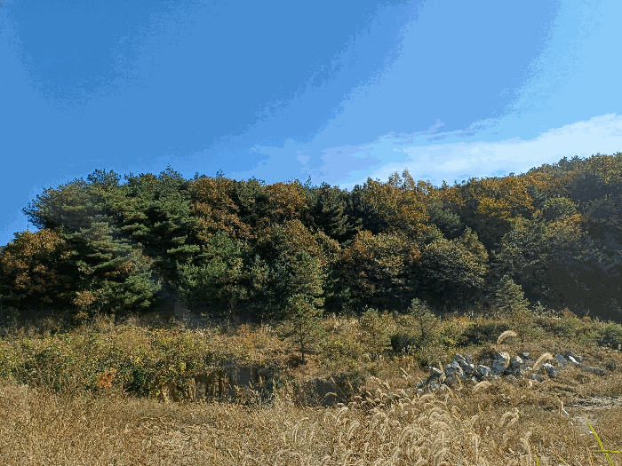 기호(1)∼(12) 제외지