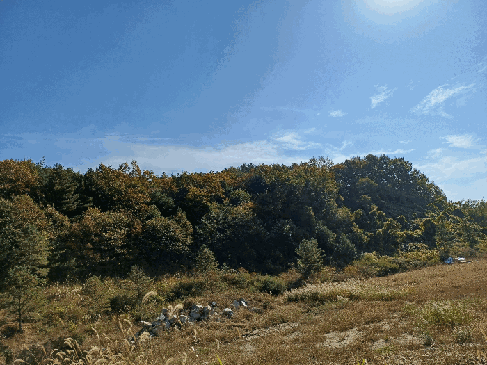 기호(1)∼(12) 제외지