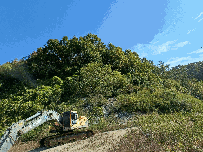 기호(1)∼(12) 제외지