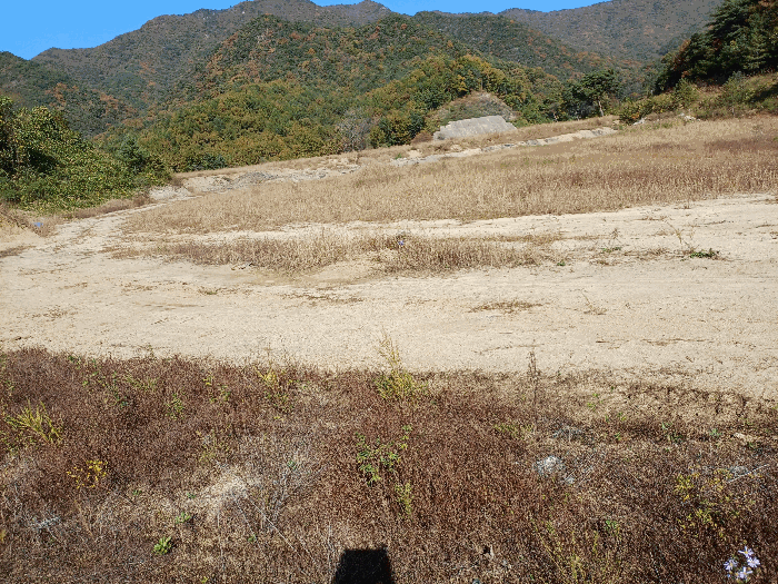 기호(1)∼(12) 승인부지