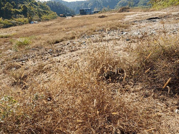 기호(1)∼(12) 승인부지