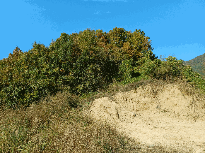 기호(1)∼(12) 제외지