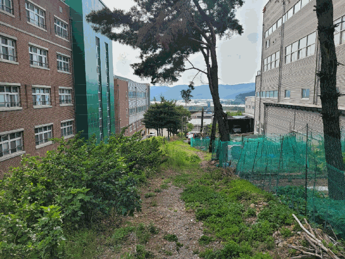 본건 기호 1) 전경