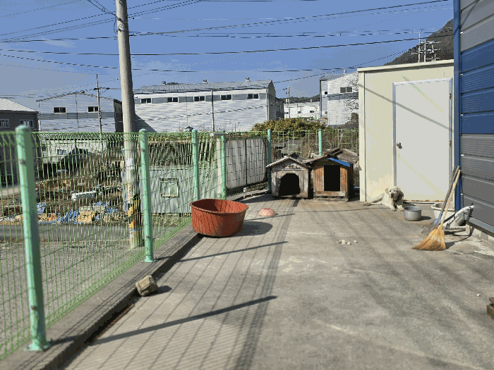 기호(1) 전경 및 주위