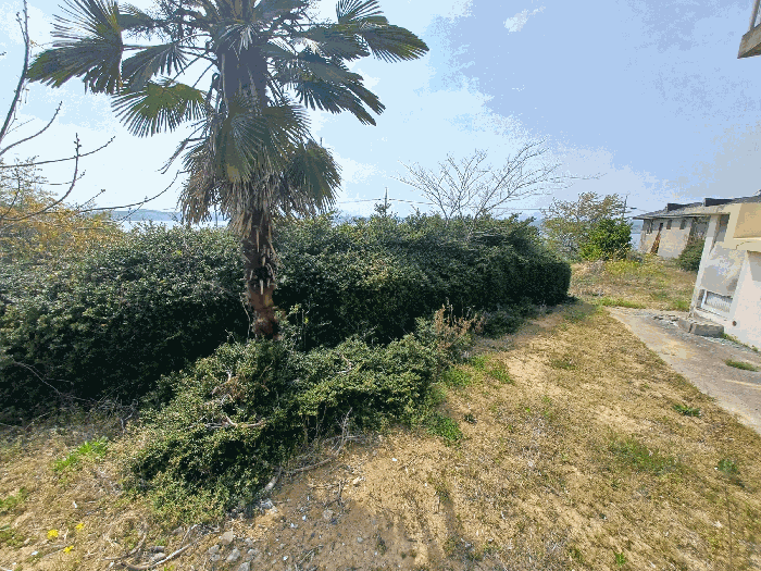 기호(9)(수목 등은 토지에 포함평가)