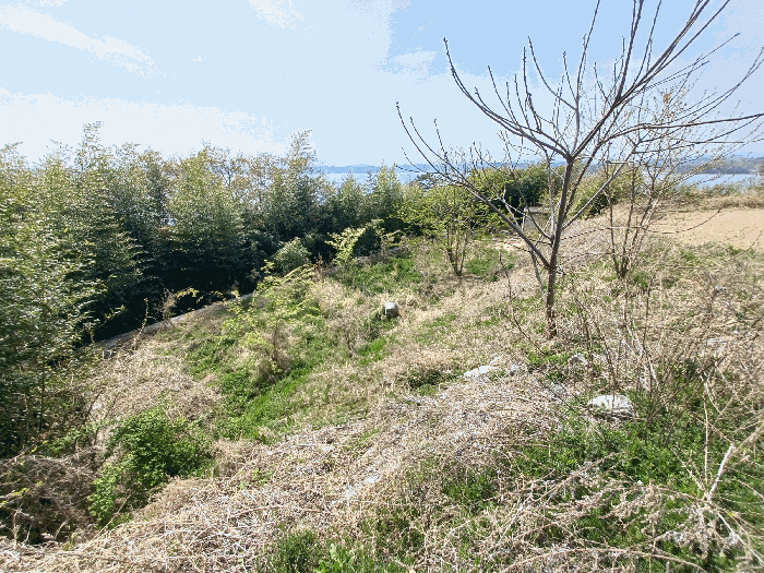 기호(10)(수목 등은 토지에 포함평가)