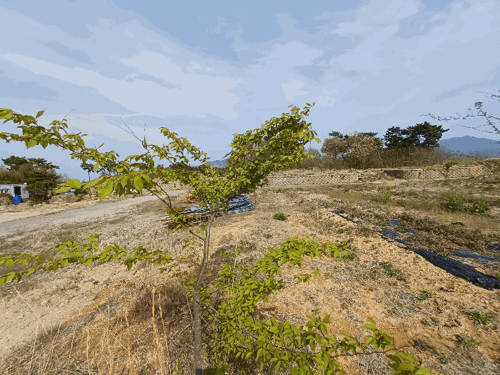 기호(13,14,22)(수목 등은 토지에 포함평가)