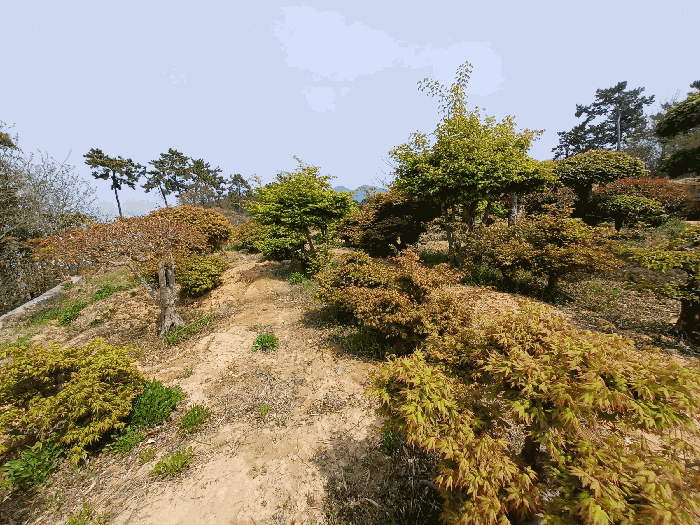 기호(4,29)(수목 등은 평가대상 제외)