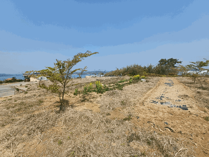 기호(16,34)(수목 등은 토지에 포함평가)