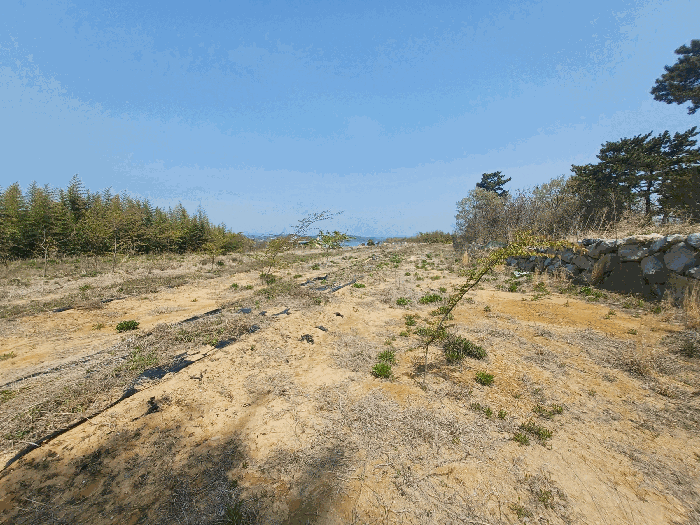 기호(27)(수목 등은 토지에 포함평가)