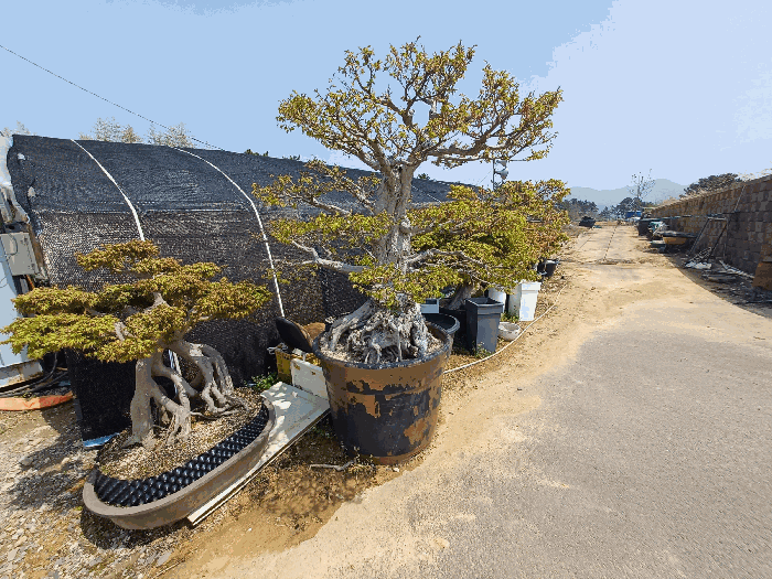 기호(3)과 기호(21) 경계 부분의 이동 가능한 화분 등