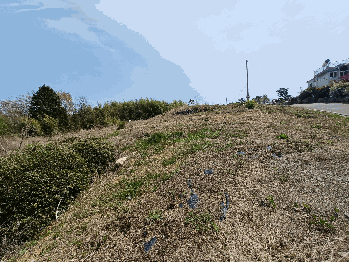 기호(1)(수목 등은 토지에 포함평가)