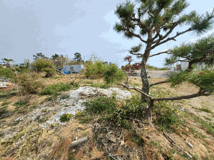 기호(2)(수목 등은 평가대상 제외)