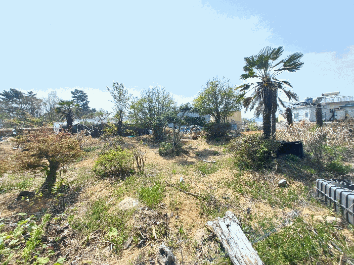 기호(3)(수목 등은 평가대상 제외)