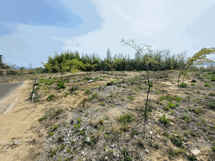 기호(15)(수목 등은 토지에 포함평가)