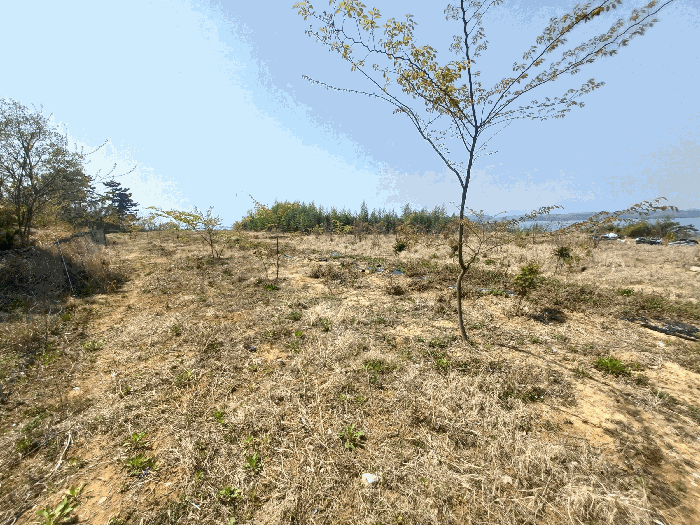 기호(19,24,25,26,35)(수목 등은 토지에 포함평가)