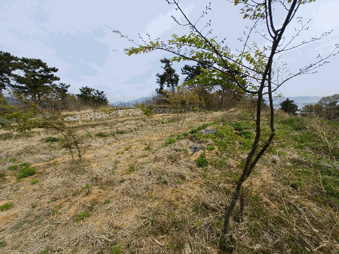 기호(27)(수목 등은 토지에 포함평가)