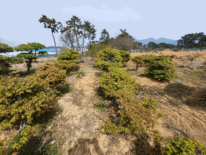 기호(5,6,31)(수목 등은 평가대상 제외)