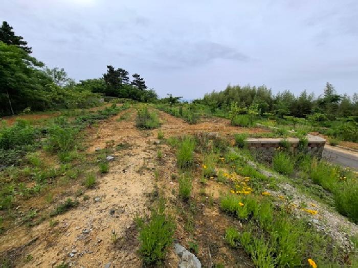 목록번호19,25,26.