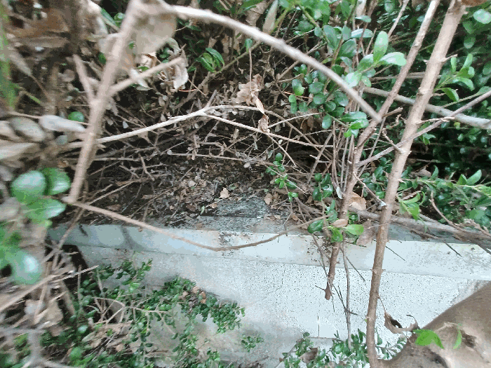 기호(8) 지상 지하수관정(토지에 포함평가)