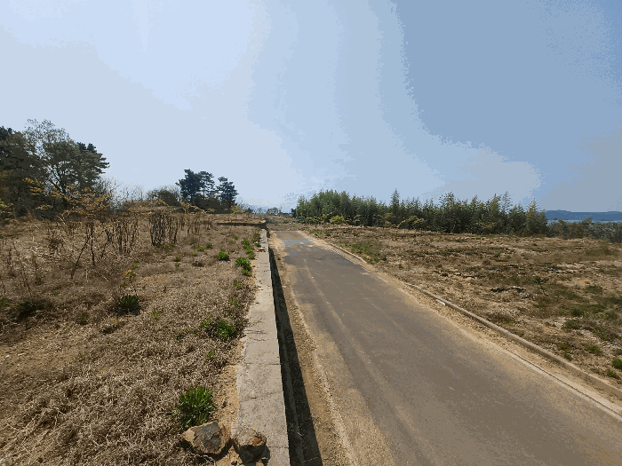 본건 내부 전경