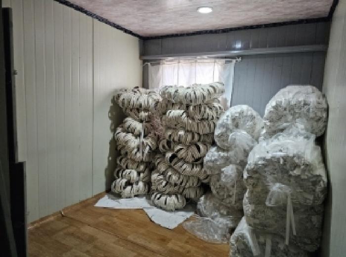 목록 3번 목적건물(1층 탈의실)