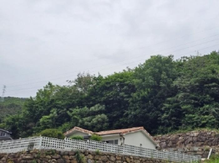목록 3번 4번