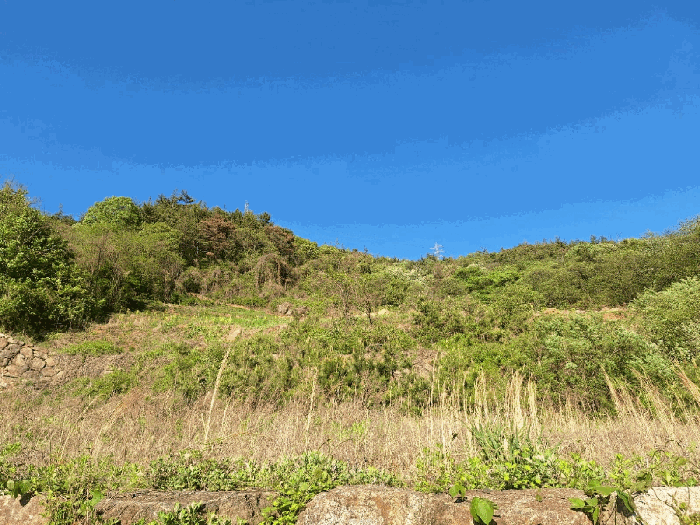 기호1~4
