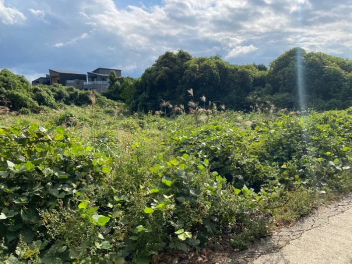 기호(7) 전경