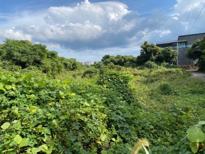 기호(8-10) 전경