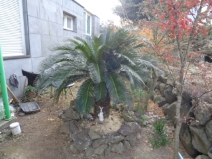 - 소재지 1(