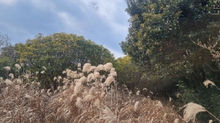 소재지2(삼달리 1832) 전경2