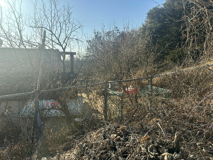 제시외건물 ㉠,㉢