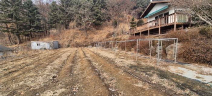 목록 4. 토지(진입로쪽에서 본 모습)