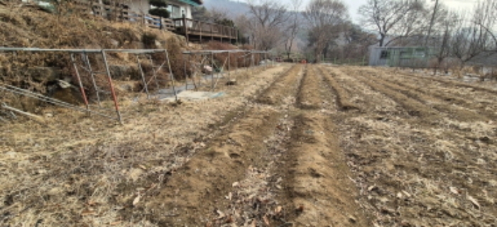 목록 4. 토지(안쪽에서 진입로쪽을 본 모습)