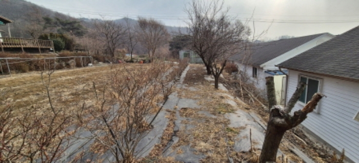 목록 6. 토지(안쪽에서 진입로쪽을 본 모습)