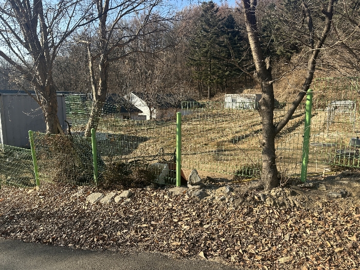 본건전경(기호2,4,6)